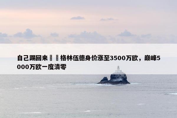 自己踢回来❗️格林伍德身价涨至3500万欧，巅峰5000万欧一度清零