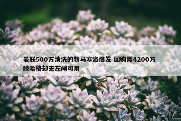 曼联500万清洗的新马塞洛爆发 回购需4200万 滕哈格却无左闸可用