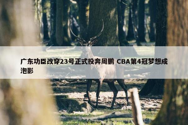 广东功臣改穿23号正式投奔周鹏 CBA第4冠梦想成泡影