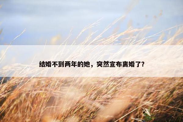 结婚不到两年的她，突然宣布离婚了？