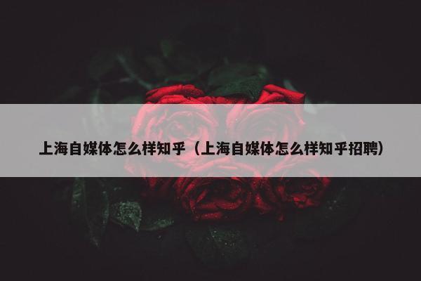 上海自媒体怎么样知乎（上海自媒体怎么样知乎招聘）