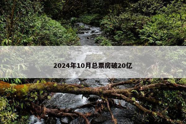 2024年10月总票房破20亿