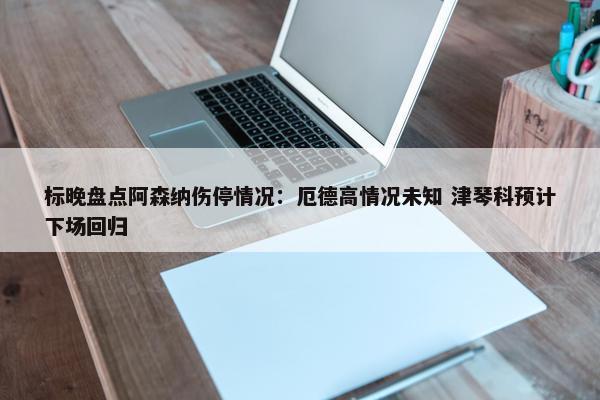 标晚盘点阿森纳伤停情况：厄德高情况未知 津琴科预计下场回归