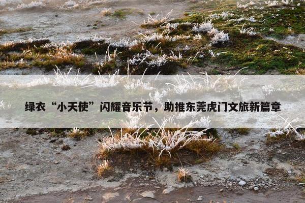 绿衣“小天使”闪耀音乐节，助推东莞虎门文旅新篇章