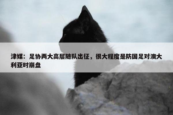 津媒：足协两大高层随队出征，很大程度是防国足对澳大利亚时崩盘