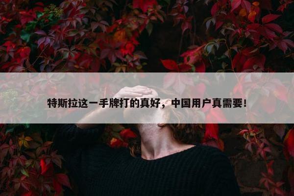 特斯拉这一手牌打的真好，中国用户真需要！