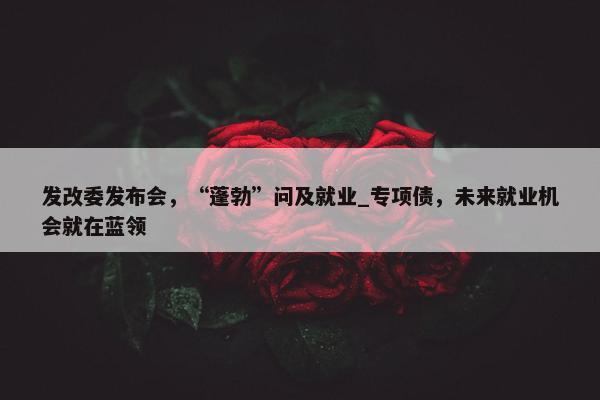 发改委发布会，“蓬勃”问及就业_专项债，未来就业机会就在蓝领