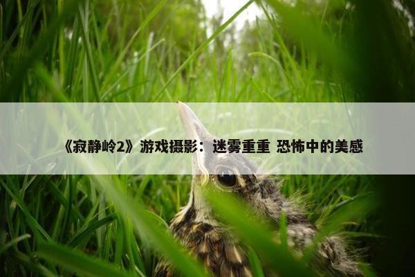 《寂静岭2》游戏摄影：迷雾重重 恐怖中的美感