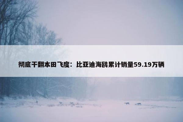 彻底干翻本田飞度：比亚迪海鸥累计销量59.19万辆