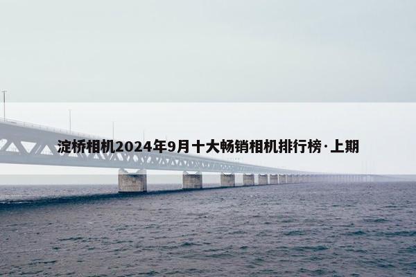 淀桥相机2024年9月十大畅销相机排行榜·上期