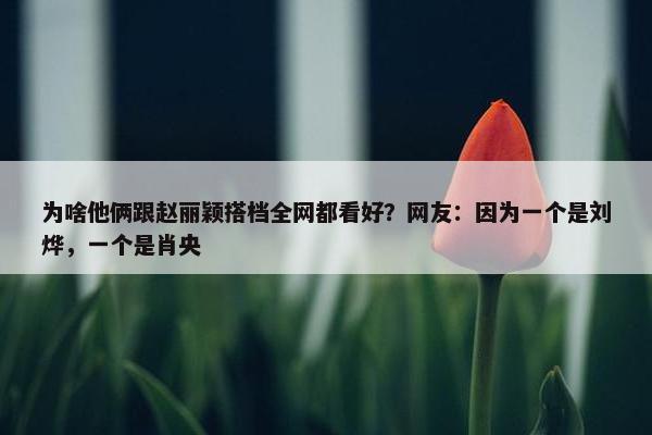 为啥他俩跟赵丽颖搭档全网都看好？网友：因为一个是刘烨，一个是肖央