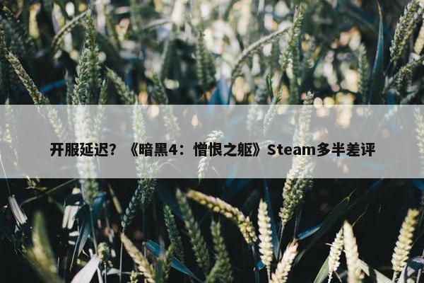 开服延迟？《暗黑4：憎恨之躯》Steam多半差评