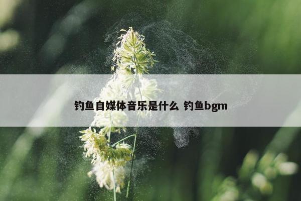 钓鱼自媒体音乐是什么 钓鱼bgm