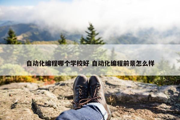 自动化编程哪个学校好 自动化编程前景怎么样