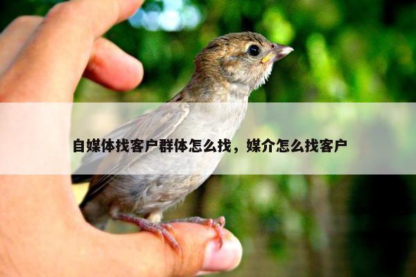 自媒体找客户群体怎么找，媒介怎么找客户