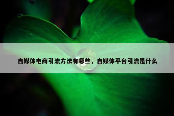 自媒体电商引流方法有哪些，自媒体平台引流是什么