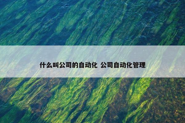 什么叫公司的自动化 公司自动化管理