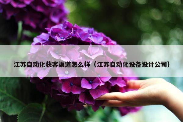 江苏自动化获客渠道怎么样（江苏自动化设备设计公司）