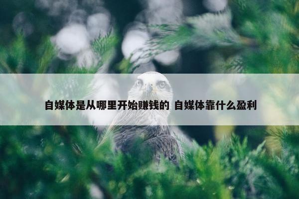 自媒体是从哪里开始赚钱的 自媒体靠什么盈利