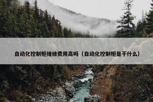 自动化控制柜维修费用高吗（自动化控制柜是干什么）