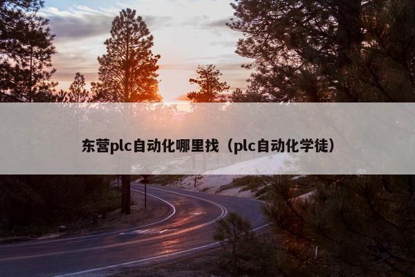 东营plc自动化哪里找（plc自动化学徒）