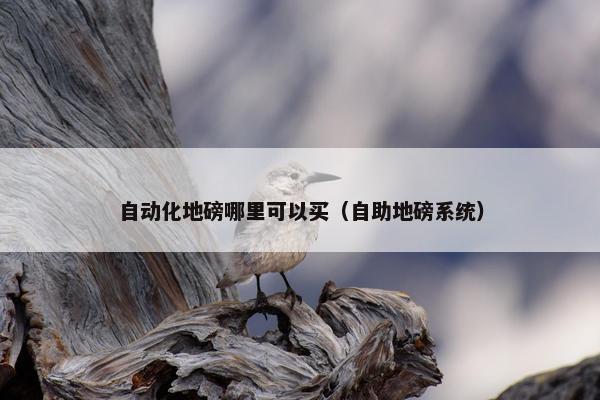 自动化地磅哪里可以买（自助地磅系统）