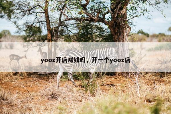 yooz开店赚钱吗，开一个yooz店