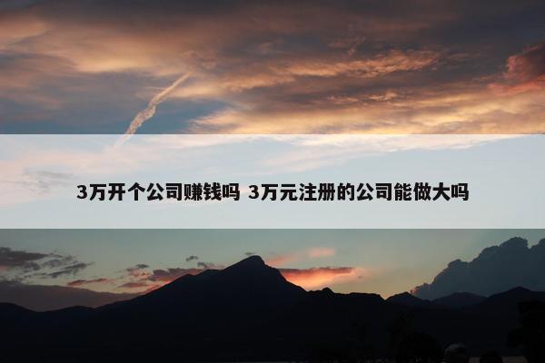 3万开个公司赚钱吗 3万元注册的公司能做大吗