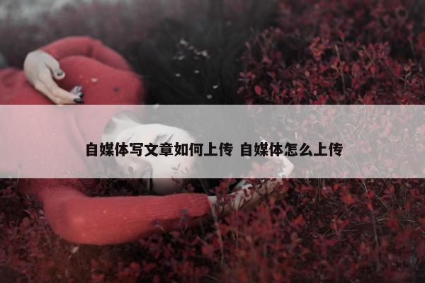 自媒体写文章如何上传 自媒体怎么上传