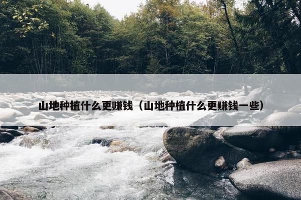 山地种植什么更赚钱（山地种植什么更赚钱一些）