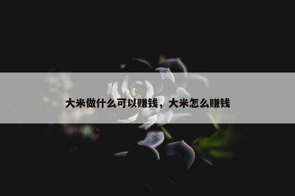 大米做什么可以赚钱，大米怎么赚钱