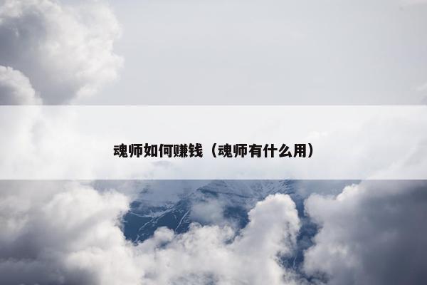 魂师如何赚钱（魂师有什么用）