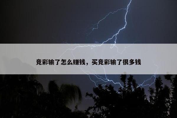 竞彩输了怎么赚钱，买竞彩输了很多钱