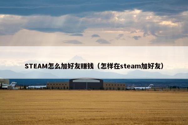 STEAM怎么加好友赚钱（怎样在steam加好友）