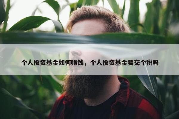 个人投资基金如何赚钱，个人投资基金要交个税吗