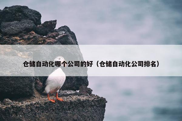 仓储自动化哪个公司的好（仓储自动化公司排名）