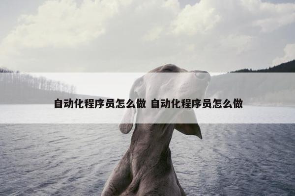 自动化程序员怎么做 自动化程序员怎么做