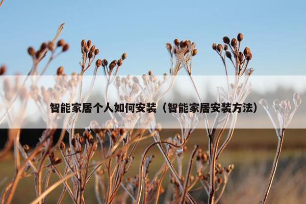 智能家居个人如何安装（智能家居安装方法）