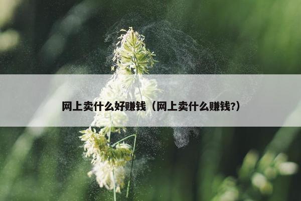 网上卖什么好赚钱（网上卖什么赚钱?）