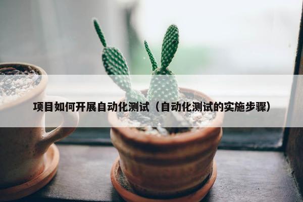 项目如何开展自动化测试（自动化测试的实施步骤）