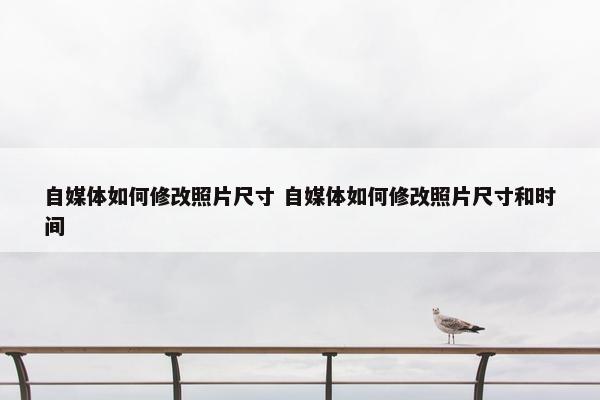 自媒体如何修改照片尺寸 自媒体如何修改照片尺寸和时间