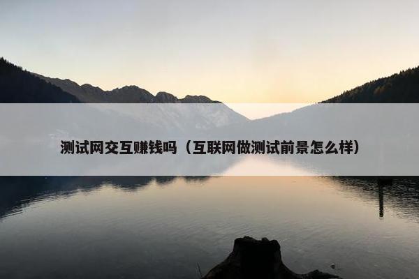 测试网交互赚钱吗（互联网做测试前景怎么样）