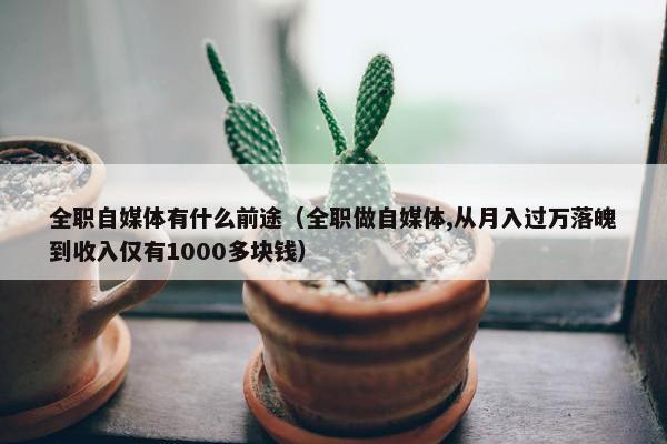 全职自媒体有什么前途（全职做自媒体,从月入过万落魄到收入仅有1000多块钱）