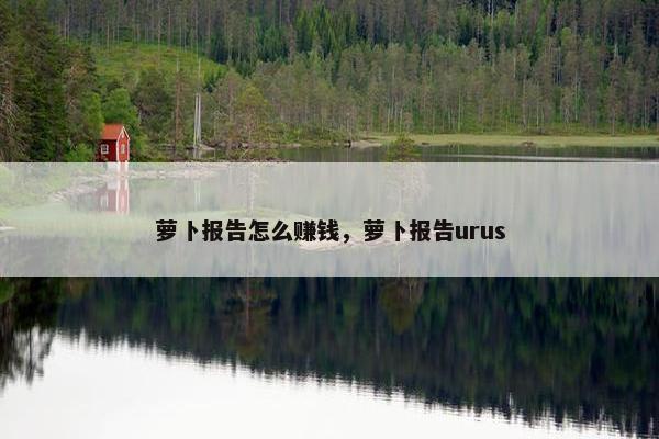 萝卜报告怎么赚钱，萝卜报告urus