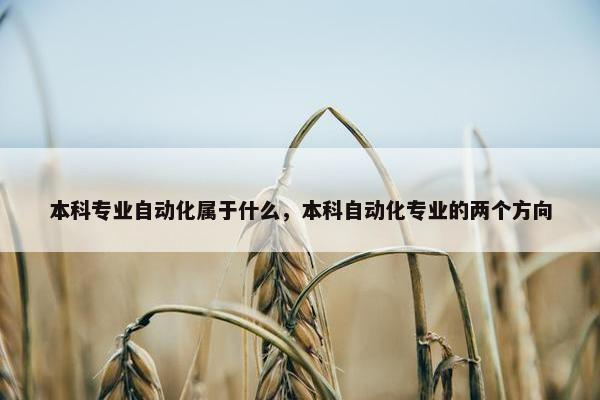 本科专业自动化属于什么，本科自动化专业的两个方向