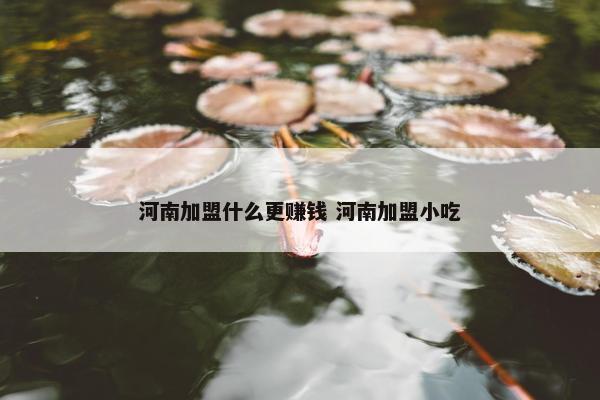 河南加盟什么更赚钱 河南加盟小吃