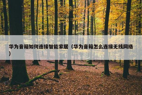 华为音箱如何连接智能家居（华为音箱怎么连接无线网络）