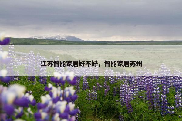 江苏智能家居好不好，智能家居苏州