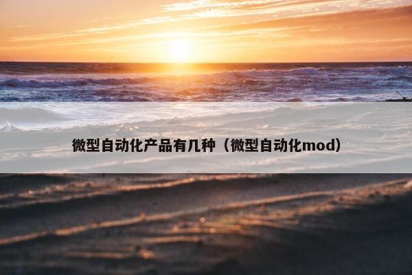 微型自动化产品有几种（微型自动化mod）