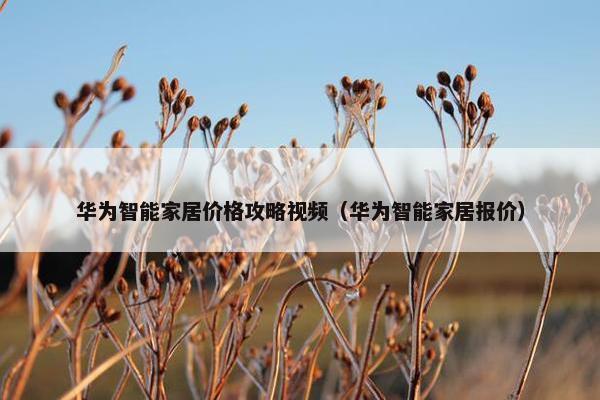 华为智能家居价格攻略视频（华为智能家居报价）